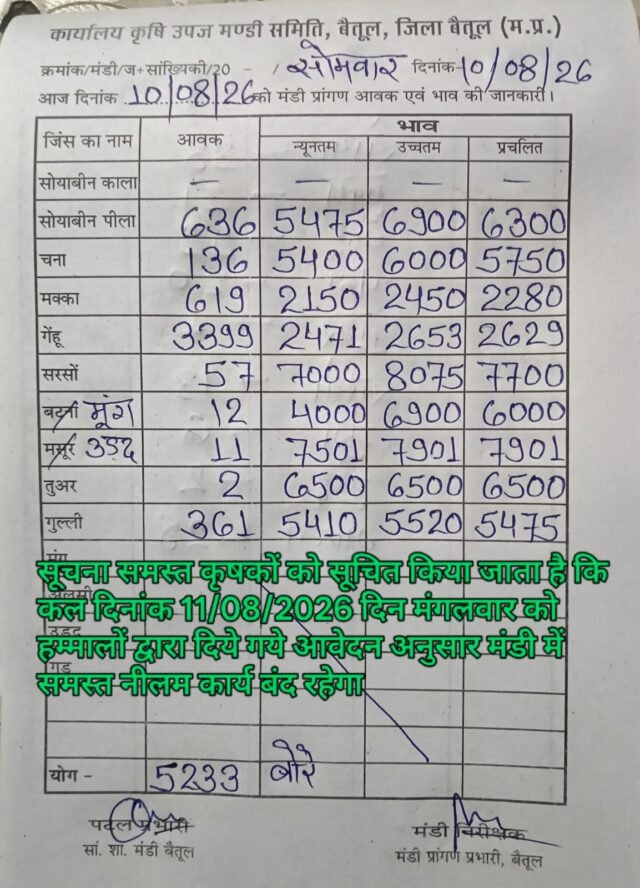 Betul Mandi Bhav: बैतूल मंडी में 5233 बोरी उपज की आवक, देखें सोयाबीन से तुअर तक के भाव