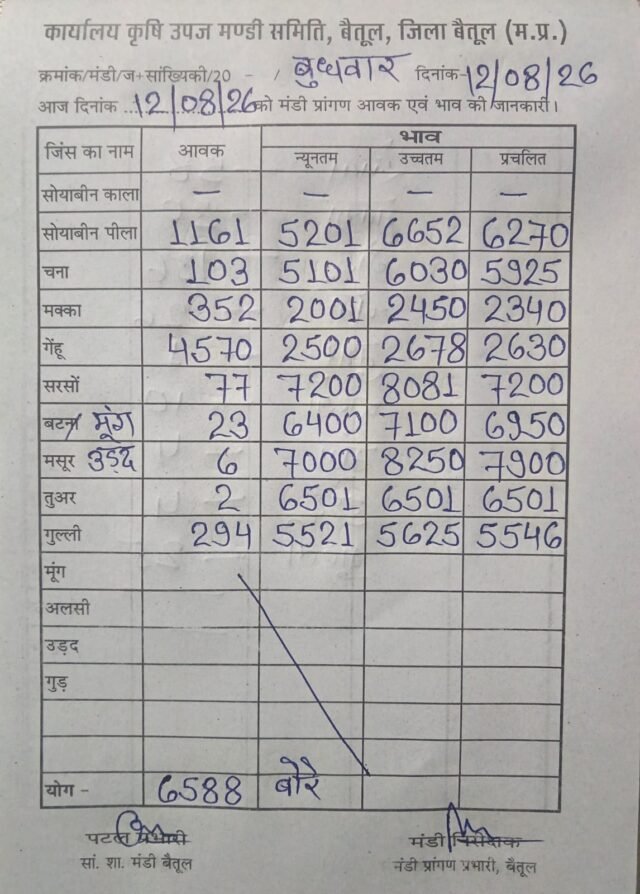 Betul Mandi Bhav: 12 अगस्त का बैतूल मंडी भाव: गेहूं सबसे आगे, सोयाबीन और सरसों के भी भाव जानिए