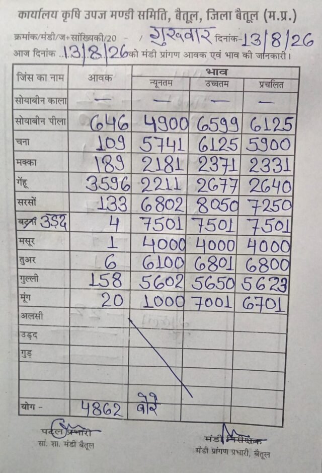 Betul Mandi Bhav: बैतूल मंडी में 4862 बोरी आवक, गेहूं की सबसे ज्यादा आवक; जानें आज के ताजा भाव