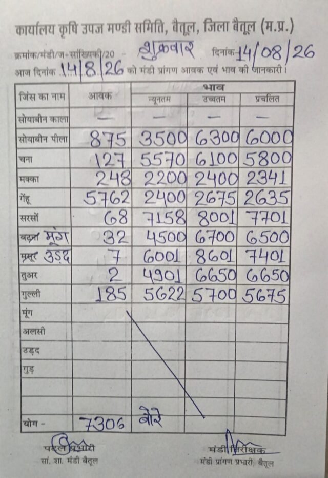 Betul Mandi Bhav: बैतूल मंडी भाव 14 अगस्त: गेहूं की सबसे ज्यादा आवक, सरसों और उड़द के दाम भी जानें