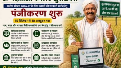 Kharif Farmer Registration: धान-मोटा अनाज बेचने वाले किसानों के लिए बड़ी खबर, जानिए पंजीयन की पूरी प्रक्रिया