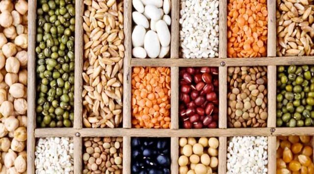 New Seed Act: नकली बीजों का खेल खत्म: शिवराज सिंह चौहान ला रहे नया 'सीड एक्ट', किसान संगठनों संग बड़ी बैठक