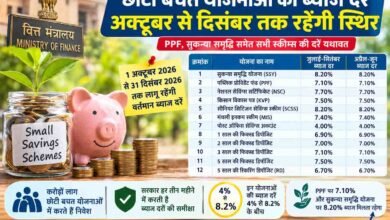 Small Savings: PPF-Sukanya सहित अन्य योजनाओं में निवेश करने वालों के लिए बड़ी खबर, अक्टूबर से दिसंबर तक ब्याज दरों को लेकर खास फैसला