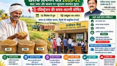 MP Farmer Registration: एमपी में धान, ज्वार और बाजरा उपार्जन की तैयारी: 15 सितंबर से शुरू होगा किसान पंजीयन, जानें शुल्क और केंद्र