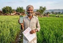 PM Kisan 24th Installment: पीएम किसान योजना: बैंक खाते से आधार लिंक न होने पर अटकेगी किस्त, ऐसे कराएं ऑनलाइन वेरिफिकेशन