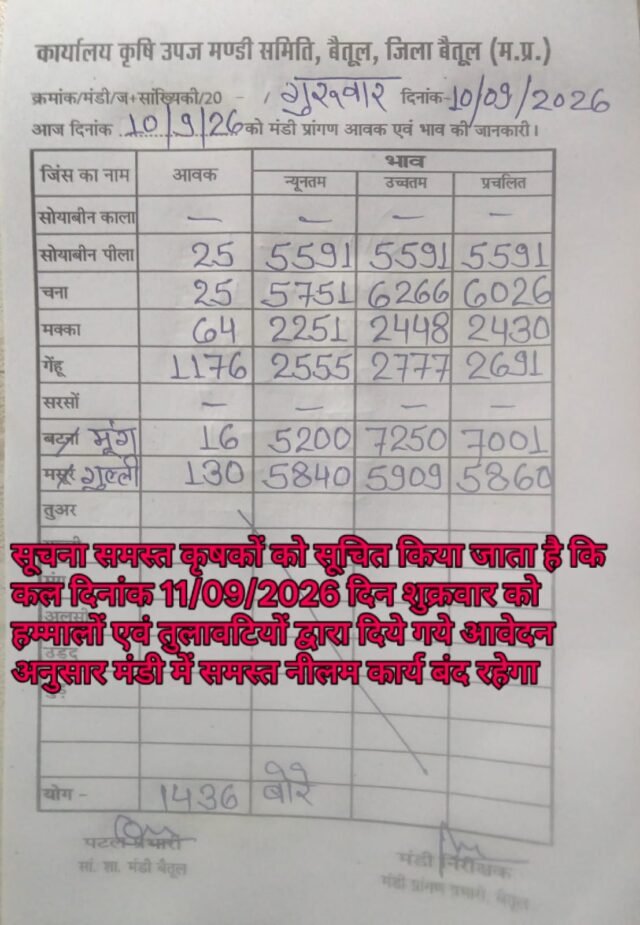 Betul Mandi Bhav: बैतूल मंडी भाव 10 सितंबर: गेहूं, चना और मूंग के दामों में तेजी, देखें सभी फसलों की आवक और रेट, कल रहेगा अवकाश