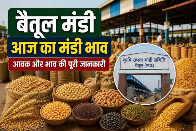 Betul Mandi Bhav: बैतूल मंडी में किस फसल का कितना भाव? यहाँ देखें 2 सितंबर की पूरी आवक-रेट लिस्ट