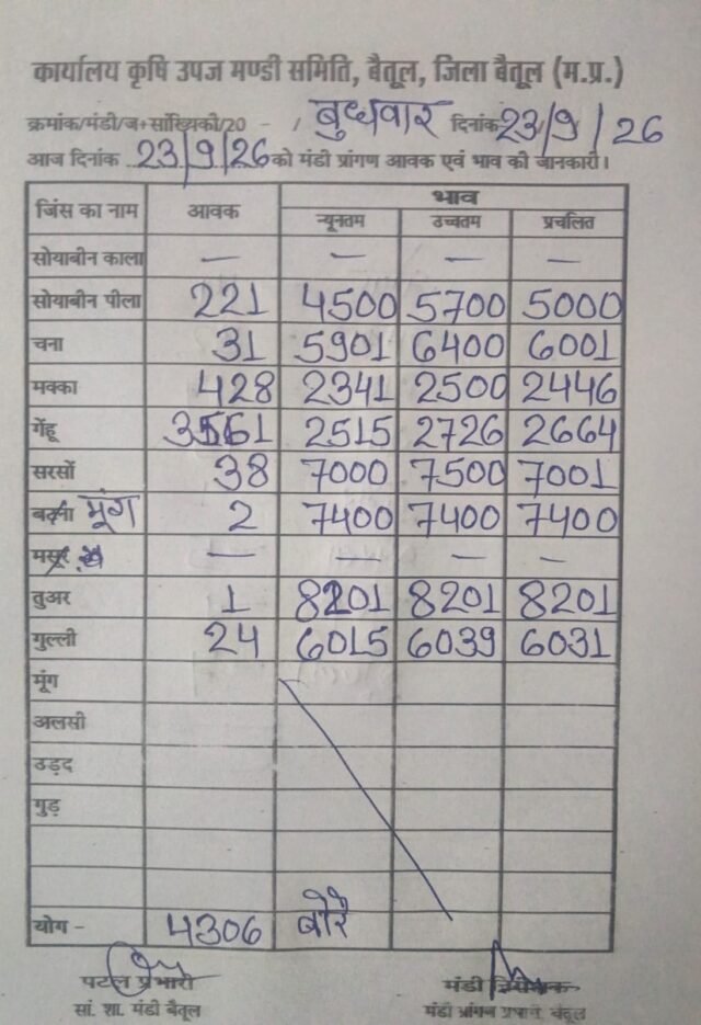 Betul Mandi Bhav: बैतूल मंडी में आज 4306 बोरे फसलों की आवक: तुअर पहुंची ₹8200 पार, देखें गेहूं, मक्का और चना के नए रेट