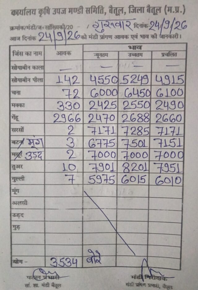 Betul Mandi Bhav: बैतूल मंडी में 3500 से अधिक बोरों की आवक, गेहूं ₹2688 तक बिका, देखें पूरी रेट लिस्ट