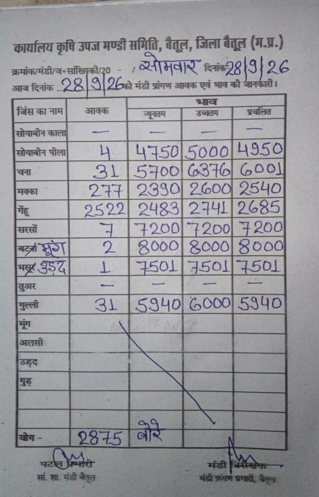 Betul Mandi Bhav: बैतूल मंडी में 28 सितंबर को 2875 बोरे आवक, सरसों ₹7200 और मूंग ₹8000 बिकी, जानें आज के नए भाव