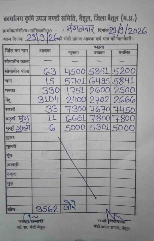 Betul Mandi Bhav: गेहूं की आवक 3 हजार बोरे पार, जानें बैतूल मंडी में सरसों और चने का आज का भाव