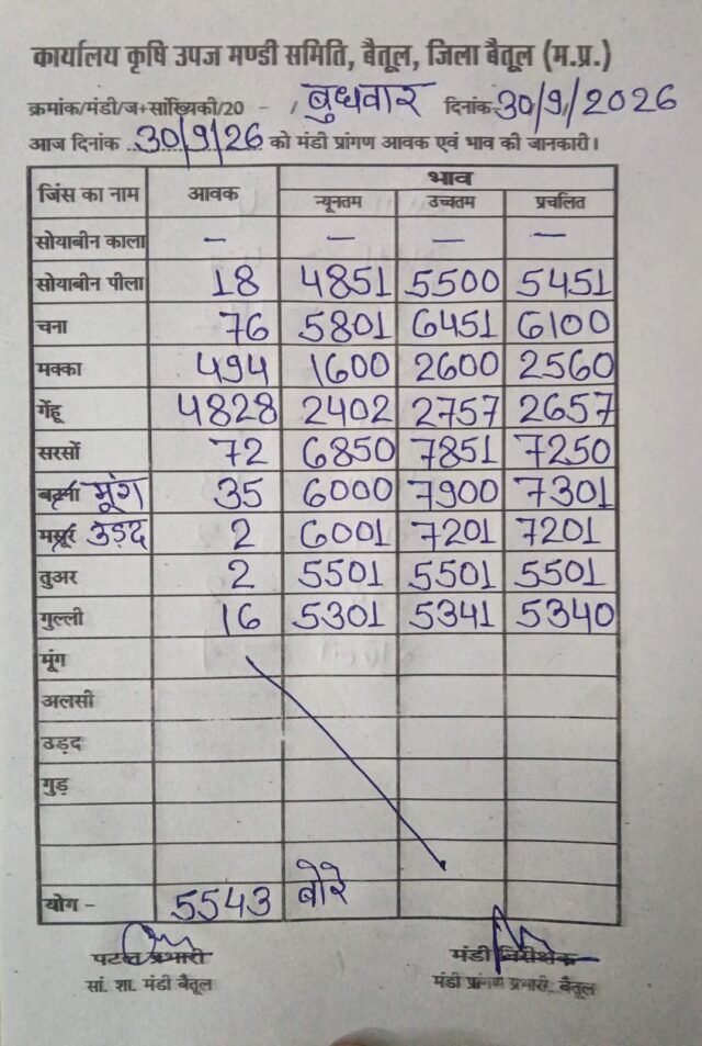 Betul Mandi Bhav: बैतूल मंडी में 30 सितंबर को 5500 बोरे से ज्यादा आवक, जानें गेहूं, मक्का और सोयाबीन के आज के भाव
