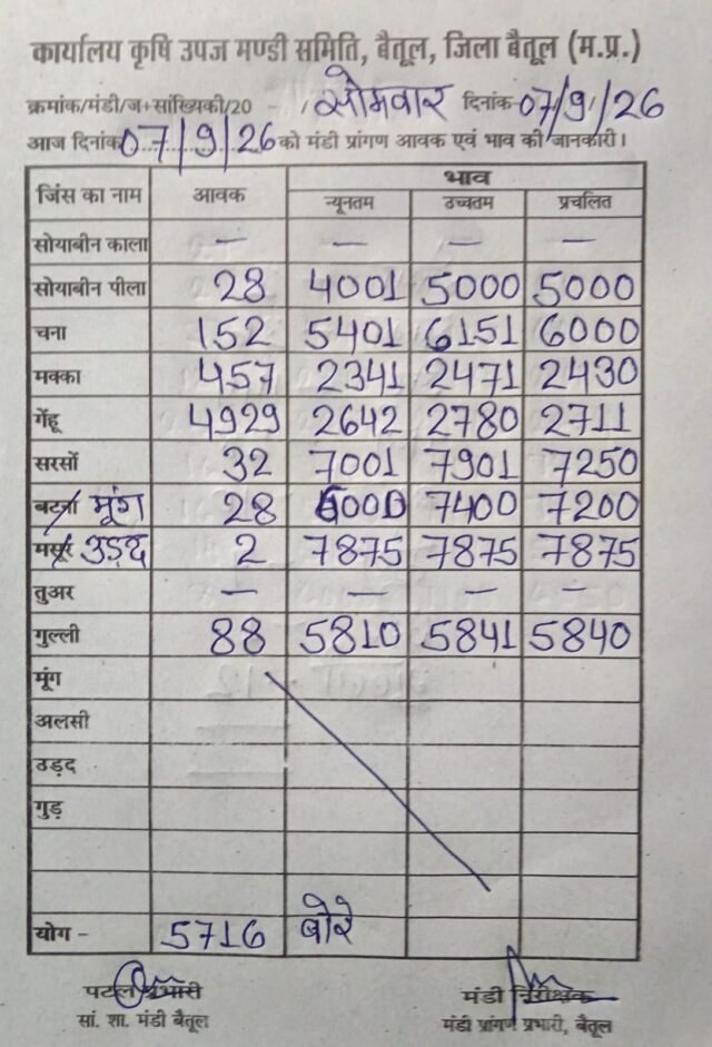 Betul Mandi Bhav: बैतूल मंडी में आज की आवक और भाव: सरसों ₹7901 तो चना ₹6151 बिका, देखें हर फसल का मंडी रेट