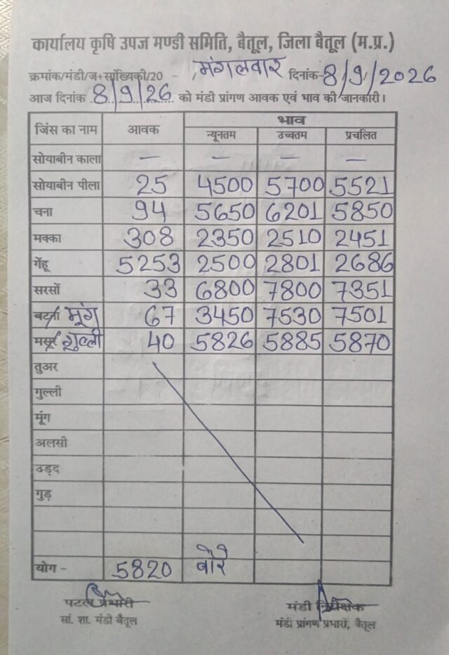 Betul Mandi Bhav: बैतूल मंडी भाव 08 सितंबर: सरसों ₹7800 और मूंग ₹7530 पार, देखें सभी फसलों के लेटेस्ट रेट
