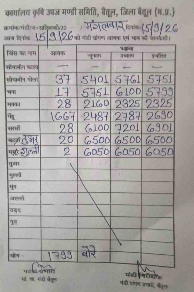 Betul Mandi Bhav: बैतूल मंडी भाव 15 सितंबर: गेहूं की बंपर आवक, सरसों और चना के भाव में तेजी, देखें आज के रेट