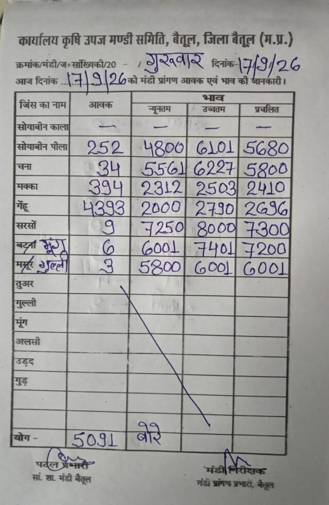 Betul Mandi Bhav: बैतूल मंडी ताजा भाव: सरसों पहुंची 8000 रुपये के पार, गेहूं और सोयाबीन के दामों में भी तेजी