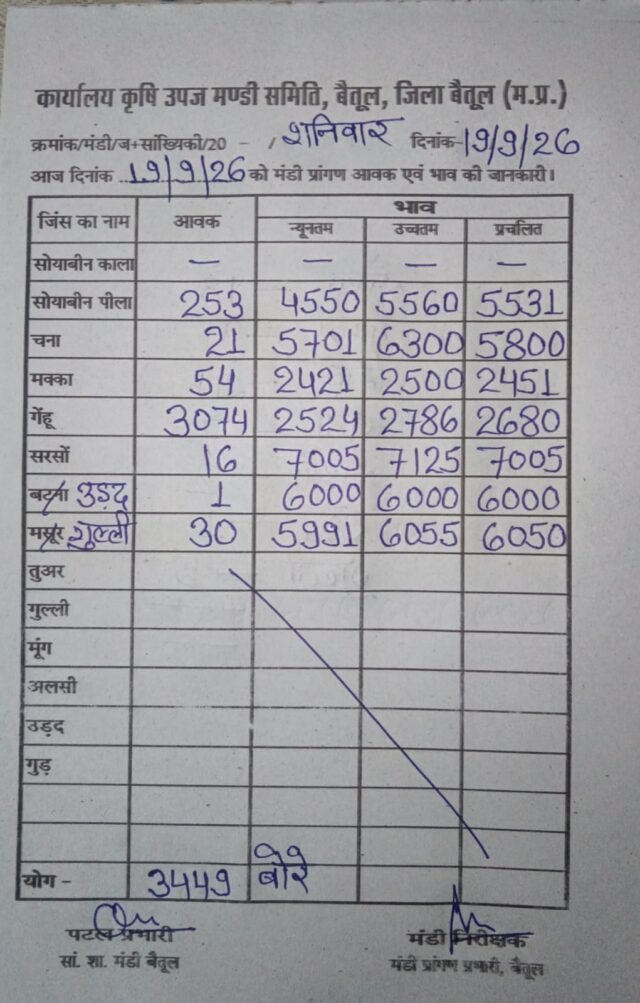 Betul Mandi Bhav: बैतूल मंडी में 3449 बोरी उपज की आवक, जानिए किसानों को गेहूं और सोयाबीन के क्या मिले भाव