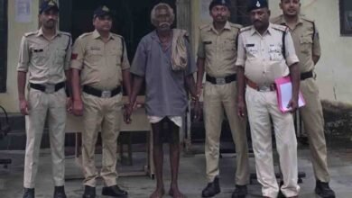 Betul Cannabis Farming: खेतों में मक्के की आड़ में उगाया जा रहा था गांजा, पुलिस की छापेमारी में 39 किलो माल बरामद