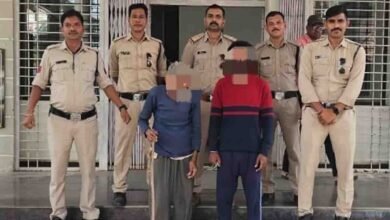 Betul Cannabis Raid: बैतूल में अवैध गांजे की खेती पर पुलिस की रेड: 1270 हरे पौधे सीज, आरोपियों पर NDPS एक्ट दर्ज