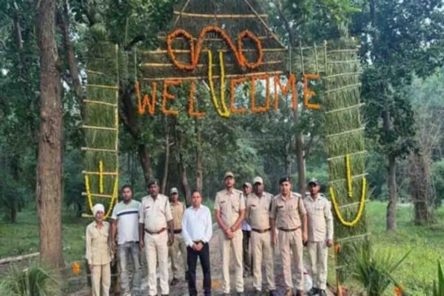 Bandhavgarh Tiger Reserve: बांधवगढ़ में नए पर्यटन सत्र की शानदार शुरुआत, पहले ही दिन पर्यटकों को हुए बाघिन के दीदार, यह हैं तैयारियां 