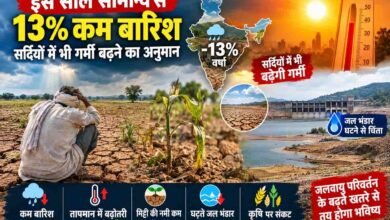 Weak Monsoon: मॉनसून की बेरुखी के बाद अल नीनो का खतरा, रबी की फसलों पर पड़ सकता है बड़ा असर