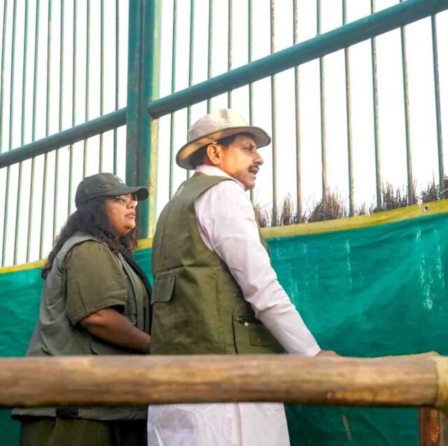 Kanha Tiger Reserve: कान्हा टाइगर रिजर्व में लौटा वन्यजीवों का वैभव: 100 साल बाद सूपखार परिक्षेत्र में छोड़े गए जंगली भैंसे