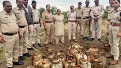 Betul Excise Raid: बैतूल में आबकारी विभाग का बड़ा छापा: जमीन में गाड़ा गया 2120 किलो महुआ लाहन बरामद, 8 केस दर्ज
