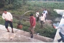 Betul Stop Dam: बैतूल में स्टॉप डैम पर बड़ी कार्रवाई: शटर न लगाने पर सचिव-उपयंत्री को नोटिस, अवैध मोटर जब्त