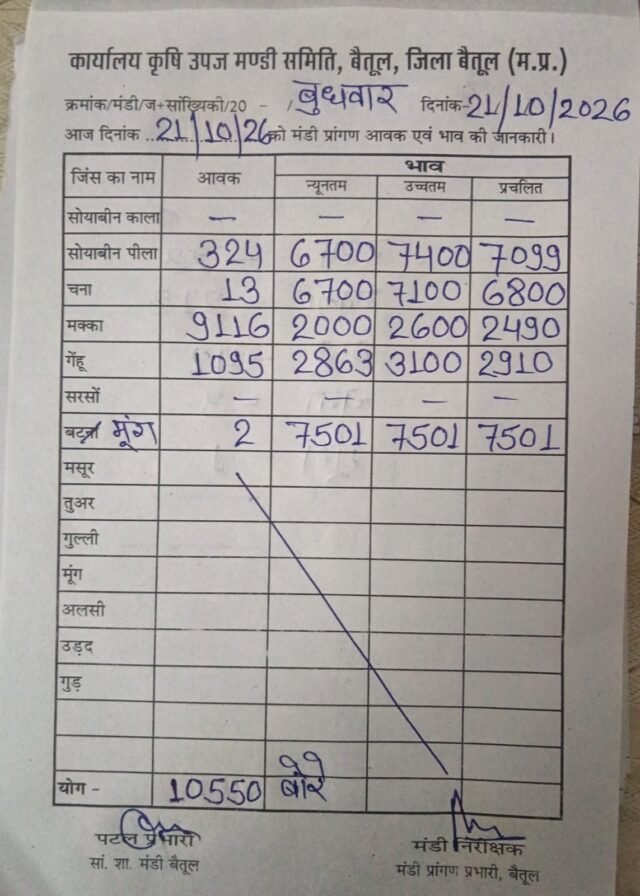 Betul Mandi Bhav: बैतूल मंडी का ताजा अपडेट: मक्का 2600 और सोयाबीन 7400 रुपये तक बिका, देखें आज की पूरी रेट लिस्ट