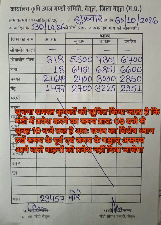 Betul Mandi Bhav: बैतूल मंडी भाव 30 अक्टूबर: मक्का और सोयाबीन के दामों में बड़ा उलटफेर, देखें आज के ताजा भाव