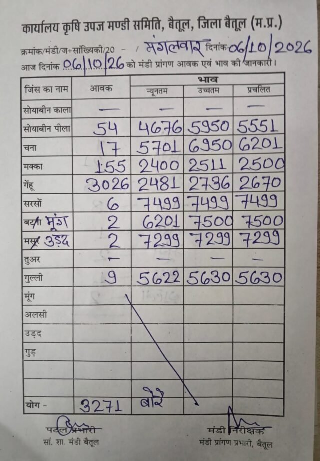 Betul Mandi Bhav: बैतूल मंडी भाव: गेहूं का रेट 2736 रुपये तक पहुंचा, जानें आज सभी उपजों के प्रचलित भाव