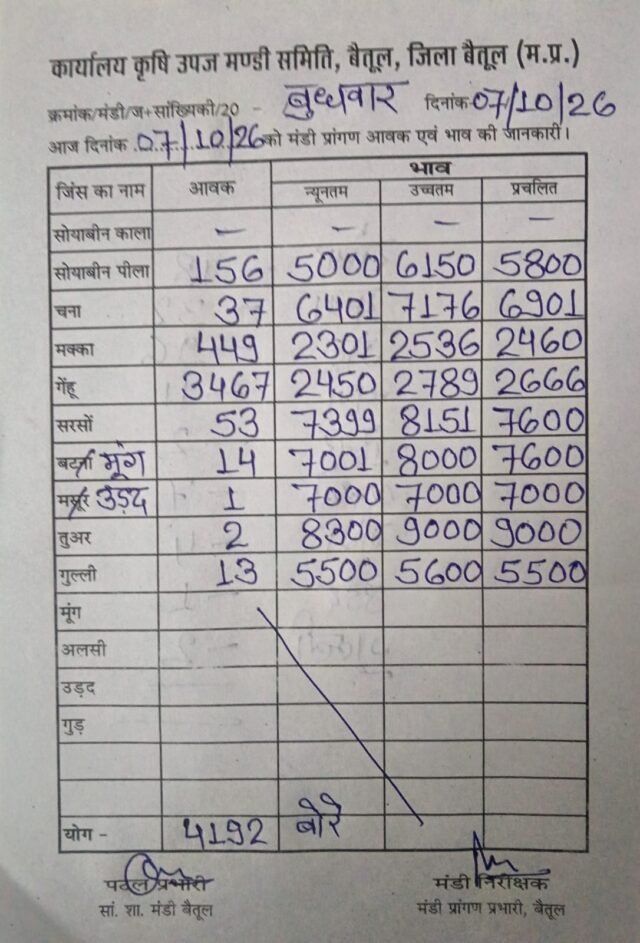 Betul Mandi Bhav: बैतूल मंडी भाव 7 अक्टूबर: 4192 बोरे फसलों की आवक, जानें गेहूं, सोयाबीन और सरसों के ताजा रेट