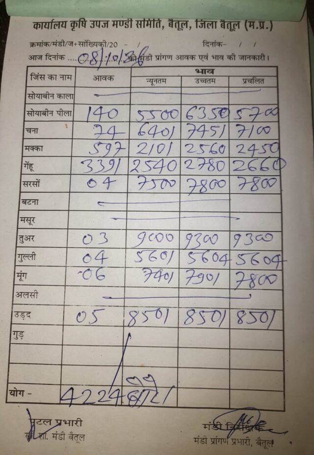 Betul Mandi Bhav: बैतूल मंडी भाव 8 अक्टूबर: 4224 बोरे फसलों की आवक, देखें सोयाबीन, गेहूं और चना के नए रेट