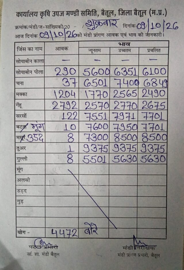Betul Mandi Bhav: बैतूल मंडी भाव: 9 अक्टूबर को 6351 रुपये तक बिका पीला सोयाबीन, पढ़ें सरसों और चने की रिपोर्ट