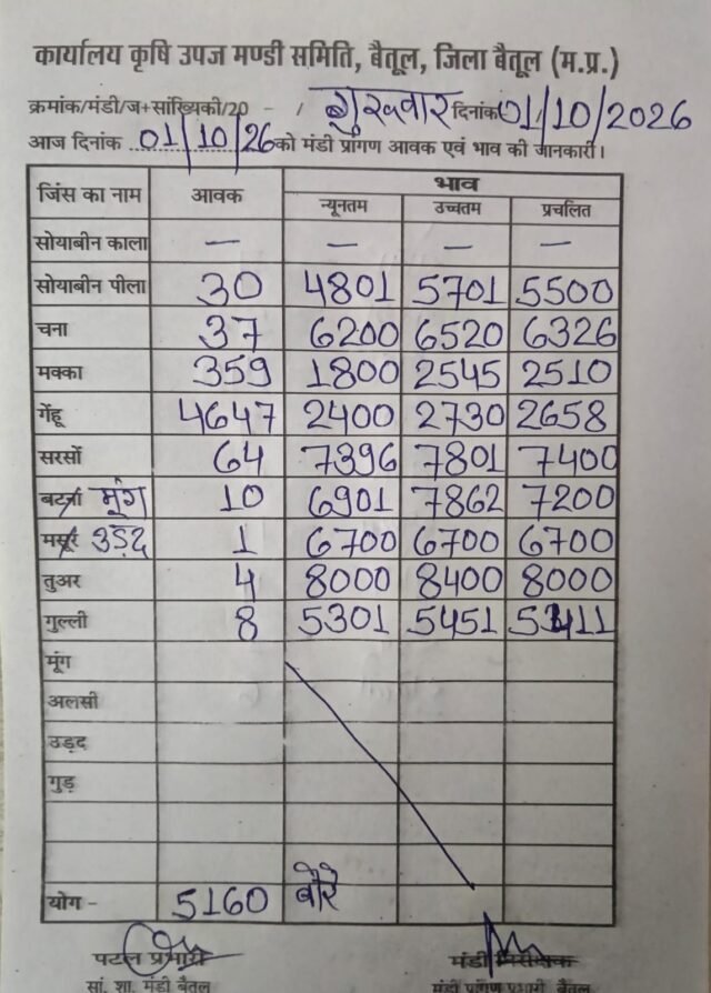 Betul Mandi Bhav: बैतूल मंडी भाव: गेहूं 4647 बोरी पहुंचा, सोयाबीन से तुअर तक के रेट देखें