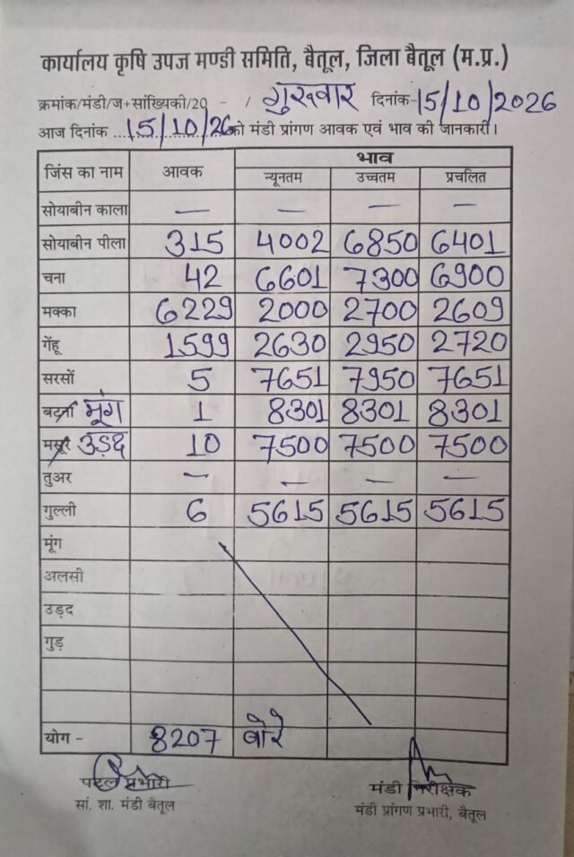 Betul Mandi Bhav: बैतूल मंडी भाव 15 अक्टूबर 2026: सोयाबीन, मक्का और गेहूं के दामों में देखें आज का बदलाव